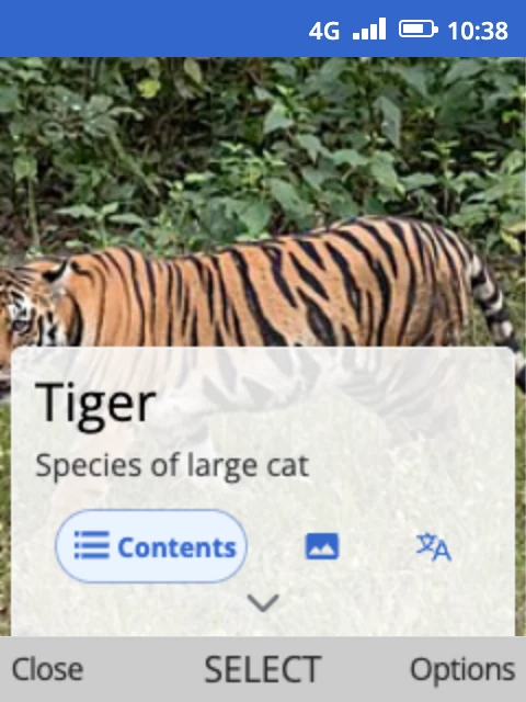 The Tiger article's first page, with a small arrow at the bottom showing there's more below