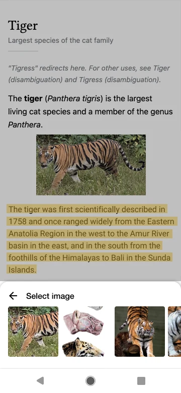 Mockup: the highlighted sentence, with a row of tiger images to choose from
