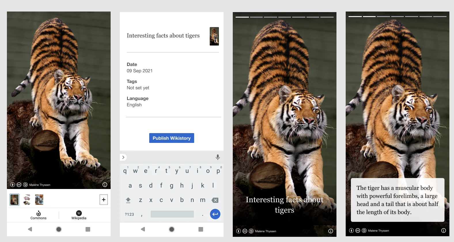 Four mockup frames of a story about tigers: a cover image, the publish form, a title page and a page with text over the photo